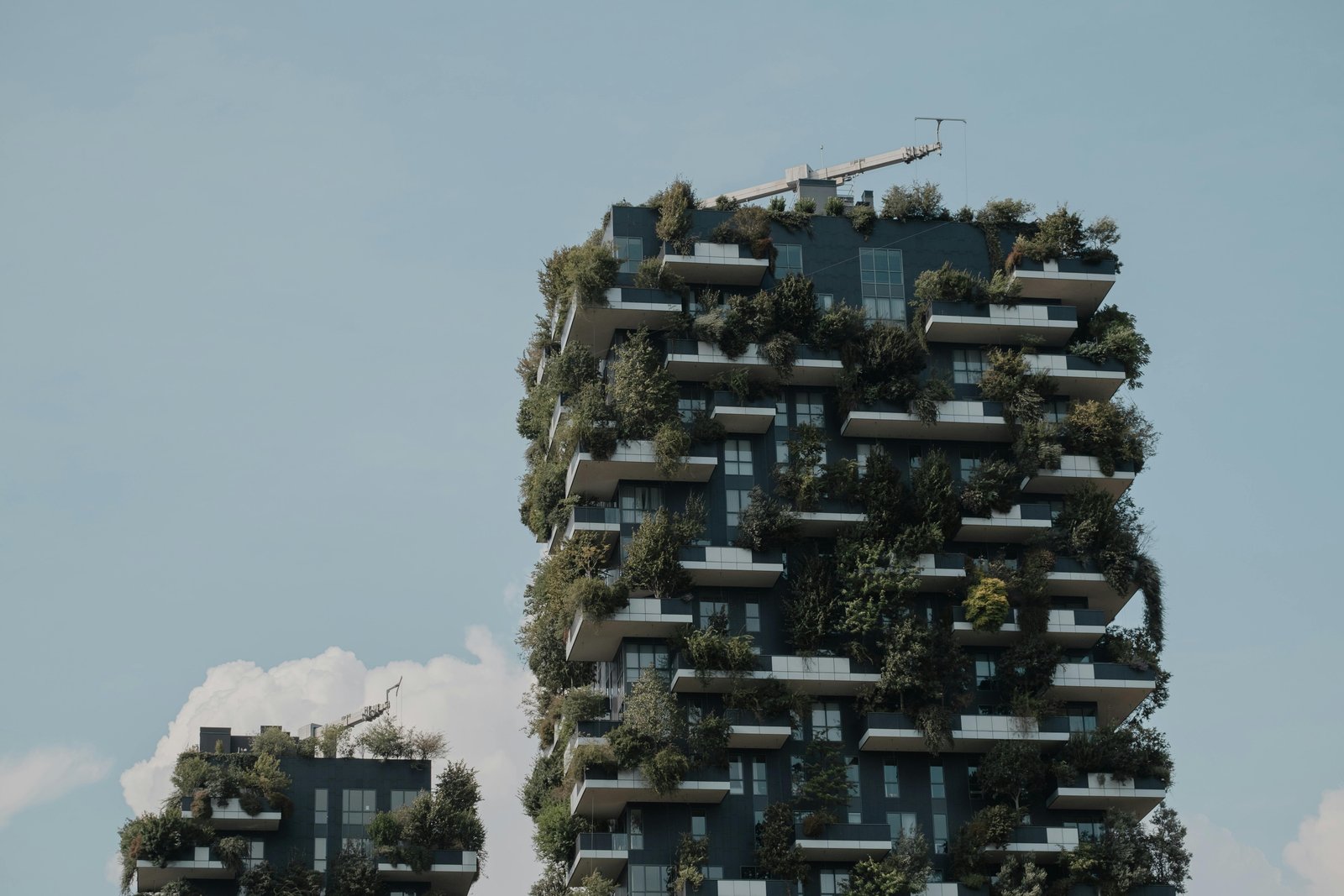 Façade d’un éco-habitat moderne entouré de verdure