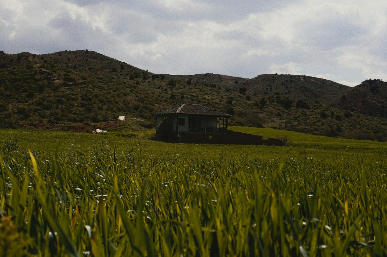 Pose d’un isolant écologique dans les combles d’une maison moderne