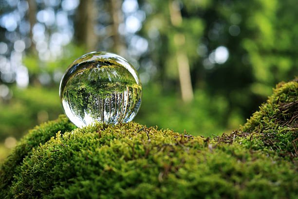 Biodiversité